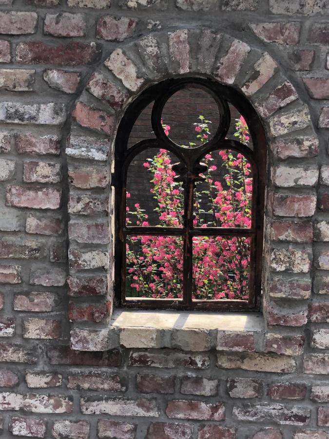 Rosa - Sky * Detmold